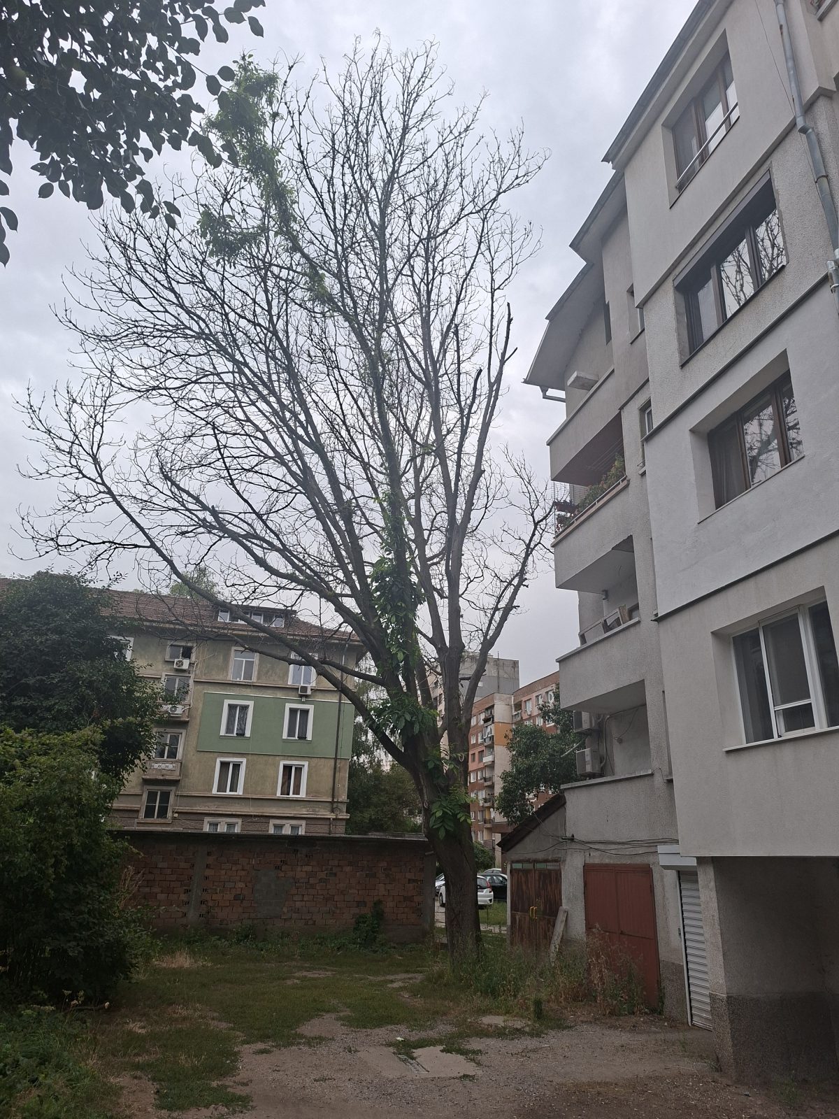 Снимка към сигнала