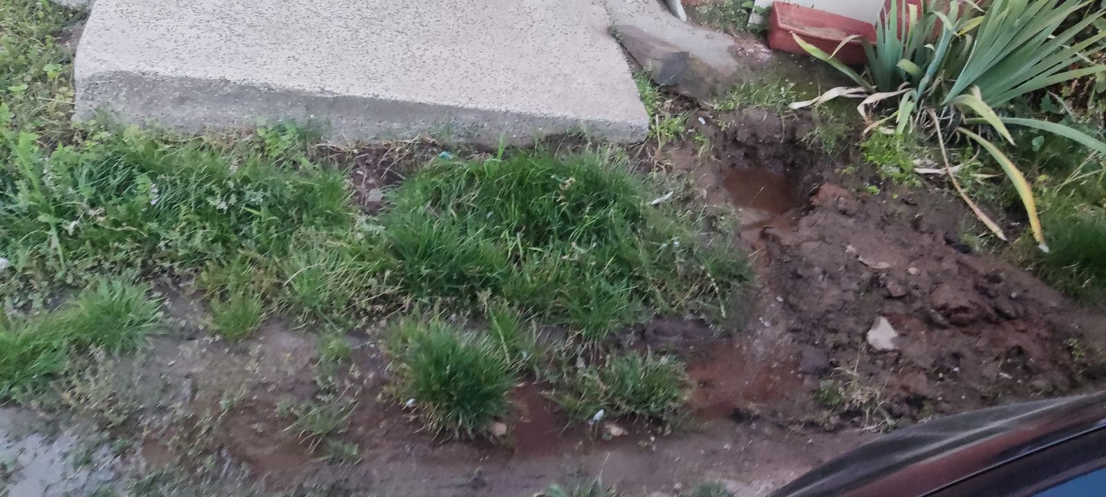Снимка към сигнала